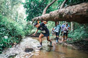 BIB: 
                            <button type="button" onclick="openModal(25374386)" class="btn btn-primary btn-sm float-right btn-popup" data-toggle="modal" data-target=".modal-high-quality">
                        <i class="fas fa-shopping-cart"></i> Add to Cart
                    </button>
                                            <button type="button" onclick="isThisMe(25374386, true)" class="btn btn-success btn-sm float-right btn-popup btn-isme hidden" data-toggle="tooltip" data-placement="bottom" title="นี่คือรูปของคุณใช่ไหม คลิกที่นี่เพื่อเอาเข้าอัลบั้ม">
                        <i class="fas fa-plus"></i> Add to album
                    </button>
                    <button type="button" onclick="isThisMe(25374386, false)" class="btn btn-warning btn-sm float-right btn-popup btn-isnotme hidden">
                        <i class="fas fa-ban"></i> Remove from album
                    </button>